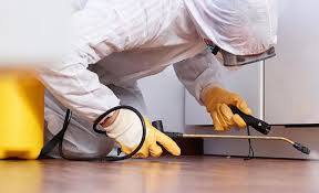 Real Estate Pest Inspections in Ravenel, SC